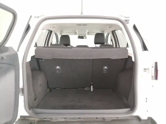 Ford Ecosport view 10