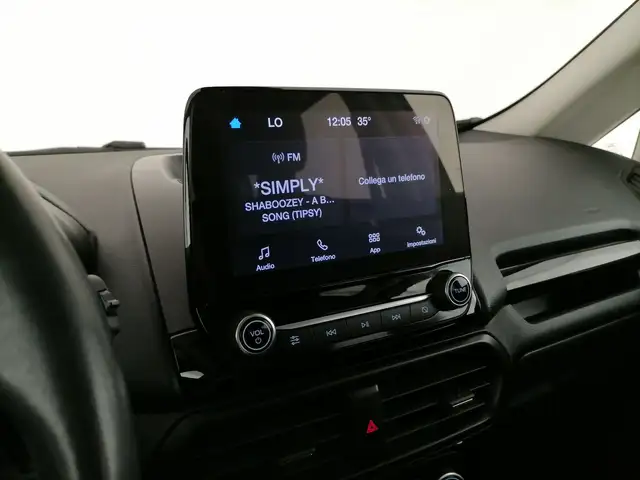 Ford Ecosport view 15