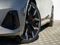 BMW 540 d xDrive M-SportPRO 21" STHZG PANO ACC iLeder Grau - thumbnail 5