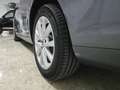 Volkswagen Golf Variant 1.6 TDI CR Sport Gris - thumbnail 31