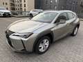 Lexus UX 250h hybrid Executive Business Grigio - thumbnail 10