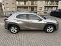 Lexus UX 250h hybrid Executive Business Grigio - thumbnail 9