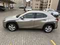Lexus UX 250h hybrid Executive Business Grigio - thumbnail 8
