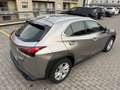 Lexus UX 250h hybrid Executive Business Grigio - thumbnail 6