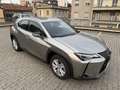 Lexus UX 250h hybrid Executive Business Grigio - thumbnail 1