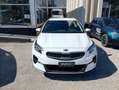 Kia XCeed Xceed 1.0 T-GDi GPL High Tech Bianco - thumbnail 10
