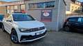 Volkswagen Tiguan 2.0 TDI R-Line Highline 4Motion 360Kamera Weiß - thumbnail 1