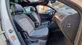Volkswagen Tiguan 2.0 TDI R-Line Highline 4Motion 360Kamera Weiß - thumbnail 15