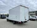 Iveco Daily 35S14 3.0 FURGONATO BOX Blanc - thumbnail 12
