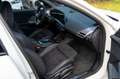 BMW 120 d M SPORT.PANO.DR.ASS.SHZ.LED.ISO.NEU MODELL Weiß - thumbnail 13