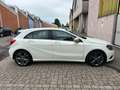 Mercedes-Benz A 160 CDI Night Edition X NEOPATENTATO Bianco - thumbnail 7
