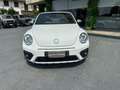 Volkswagen Beetle Cabrio 1.2 TSI DUNE UNICO PROPRIETARIO Blanc - thumbnail 5