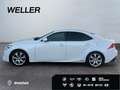 Lexus IS 300 h Executive Line*Kamera*SHZ*PDC*Bluetooth* Wit - thumbnail 5