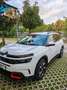 Citroen C5 Aircross 1.5 bluehdi Shine s&s 130cv eat8 my19 - thumbnail 1