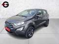 Ford EcoSport Trend 1.0 ecoboost 99ch Grau - thumbnail 1