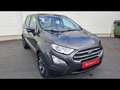 Ford EcoSport Trend 1.0 ecoboost 99ch Grau - thumbnail 3