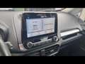 Ford EcoSport Trend 1.0 ecoboost 99ch Grau - thumbnail 17