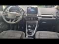 Ford EcoSport Trend 1.0 ecoboost 99ch Grau - thumbnail 10