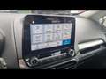 Ford EcoSport Trend 1.0 ecoboost 99ch Grau - thumbnail 19