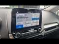 Ford EcoSport Trend 1.0 ecoboost 99ch Grau - thumbnail 22
