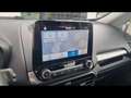 Ford EcoSport Trend 1.0 ecoboost 99ch Grau - thumbnail 18