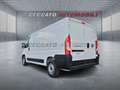 Fiat Ducato Ducato Series 2 Stock My25 Furgone Lastrat Blanc - thumbnail 3