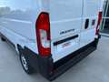 Fiat Ducato Ducato Series 2 Stock My25 Furgone Lastrat Blanc - thumbnail 15