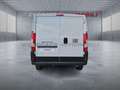 Fiat Ducato Ducato Series 2 Stock My25 Furgone Lastrat Blanc - thumbnail 5
