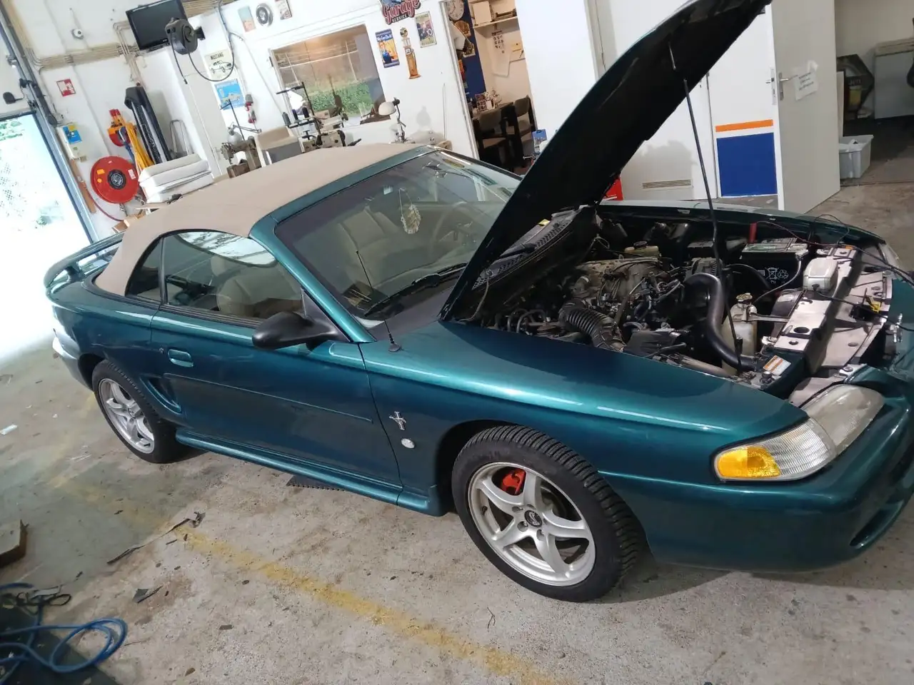 Ford Mustang undefined, foto 2