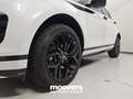 Land Rover Range Rover Evoque 2.0D I4-L.Flw 150 CV AWD Auto R-Dynamic S Gris - thumbnail 33