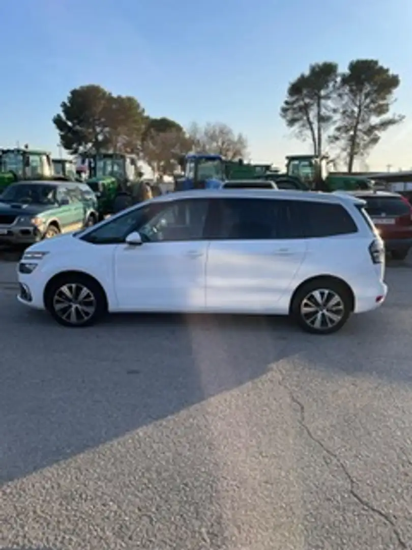 Citroen C4 Grand Spacetourer 1.2 PureTech S&S Feel 130 Bianco - 2