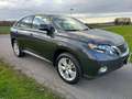Lexus RX 450h RX 450h (hybrid) Executive Line Szürke - thumbnail 7