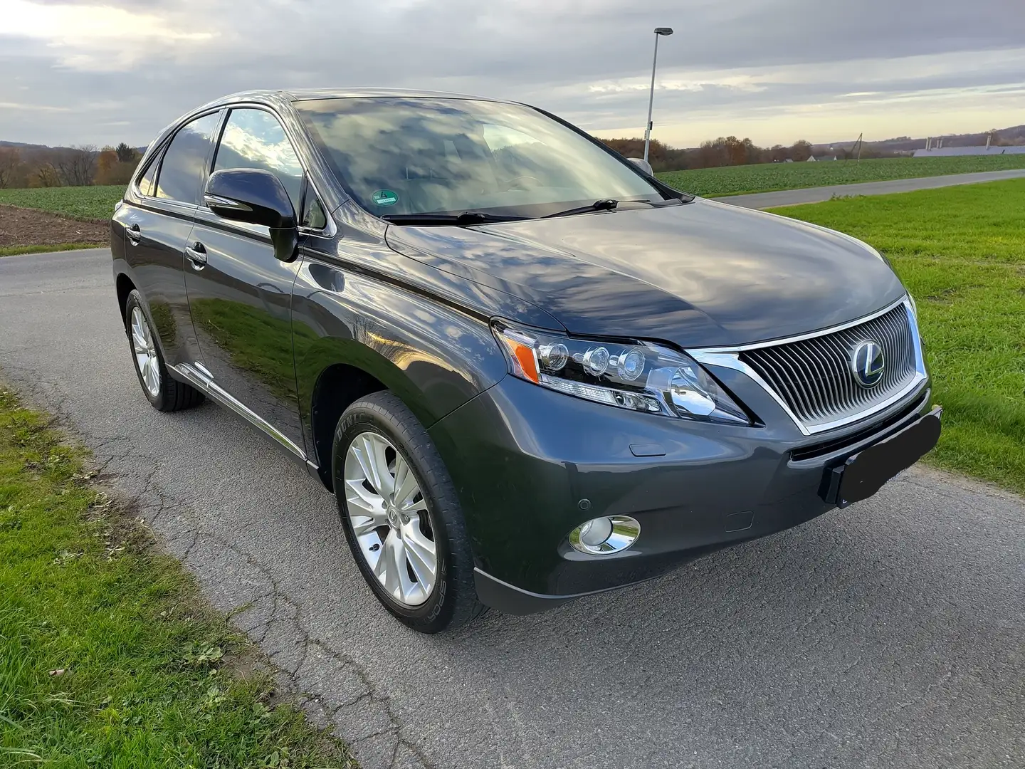 Lexus RX 450h RX 450h (hybrid) Executive Line Szürke - 2