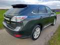 Lexus RX 450h RX 450h (hybrid) Executive Line Szürke - thumbnail 5