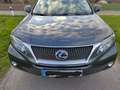 Lexus RX 450h RX 450h (hybrid) Executive Line Szürke - thumbnail 8