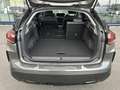 Citroen C4 BlueHDI 130 S&S Shine EAT8 Aut. "reserviert O, ... Grau - thumbnail 36