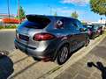 Porsche Cayenne GTS 4.8L/V8/LEDER/PANO/BOSE/LUFTFEDERUNG Gris - thumbnail 7