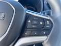 Isuzu D-Max D-MAX Space Cab L 4WD Aut. *Umbau auf 3-Sitzer ... Weiß - thumbnail 15
