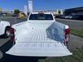 Isuzu D-Max D-MAX Space Cab L 4WD Aut. *Umbau auf 3-Sitzer ... Weiß - thumbnail 4