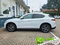 Alfa Romeo Stelvio 2.2 Turbodiesel 210 CV AT8 Q4 Super Blanc - thumbnail 4