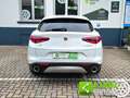 Alfa Romeo Stelvio 2.2 Turbodiesel 210 CV AT8 Q4 Super Blanc - thumbnail 6