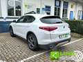 Alfa Romeo Stelvio 2.2 Turbodiesel 210 CV AT8 Q4 Super Blanc - thumbnail 5