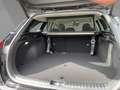 Kia Ceed SW / cee'd SW Sportswagon Spirit 1.5 T-GDI Technologie Nero - thumbnail 12