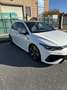 Volkswagen Golf R Bianco - thumbnail 2