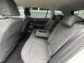 Volkswagen Golf Variant 1.0 eTSI 110PK DSG Life Business Elektrische best. Weiß - thumbnail 37