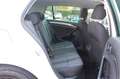 Volkswagen Golf 7 1.6 TDI 110CV 5p Highline ALLSTAR Wit - thumbnail 13