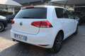Volkswagen Golf 7 1.6 TDI 110CV 5p Highline ALLSTAR Wit - thumbnail 2