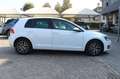 Volkswagen Golf 7 1.6 TDI 110CV 5p Highline ALLSTAR Wit - thumbnail 11