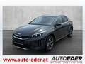 Kia XCeed Xceed 1,5 TGDI GPF Silber - thumbnail 2
