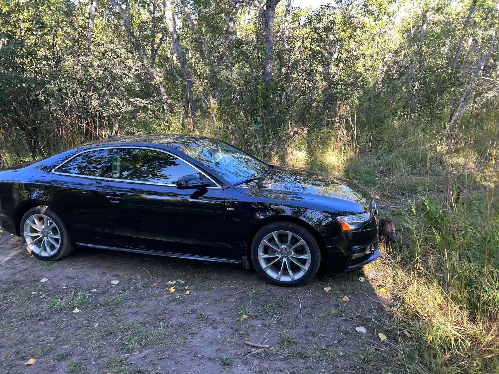 2015 Audi A5 Komfort alt 2